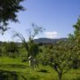 reservas_finca-los-natachos.jpg